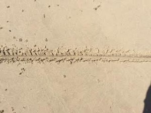 Line in the Sand