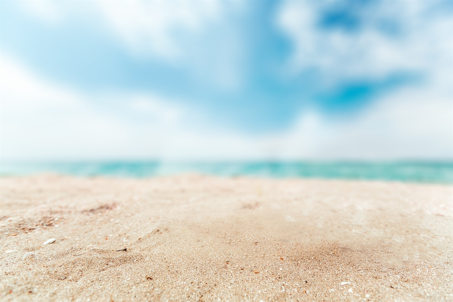 Line in the sand