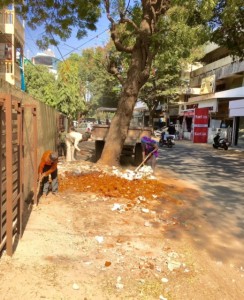 Take A Walk With Me In India