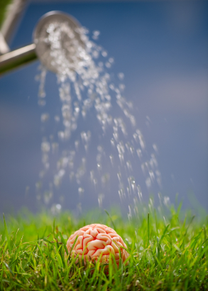 Feed Your Brain – Part 1