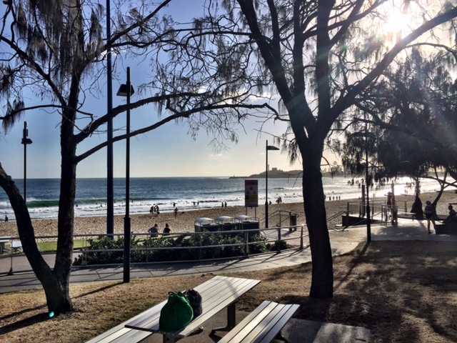 Surfing Sunshine Coast